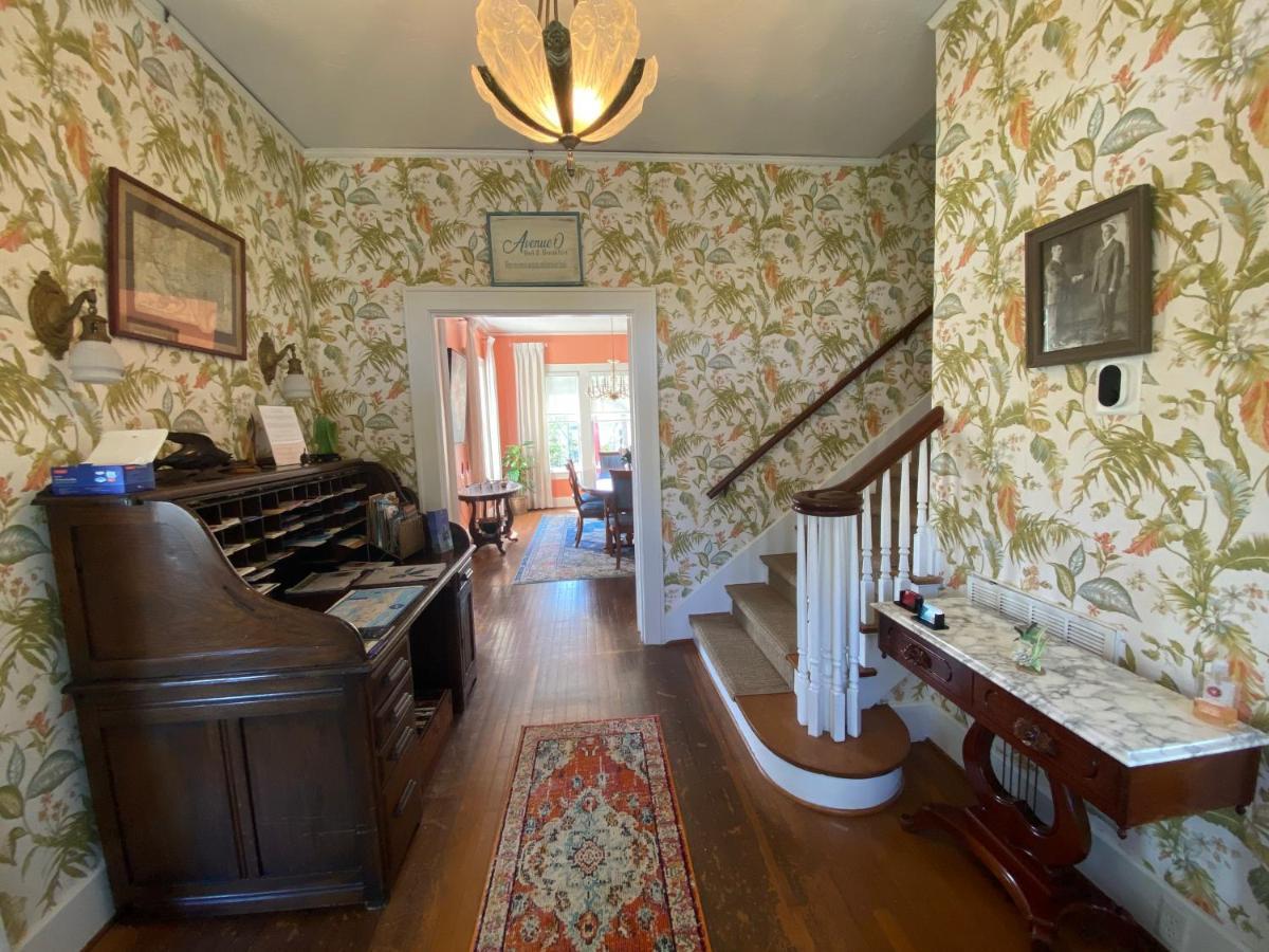 Avenue O Bed&Breakfast Galveston Exterior foto